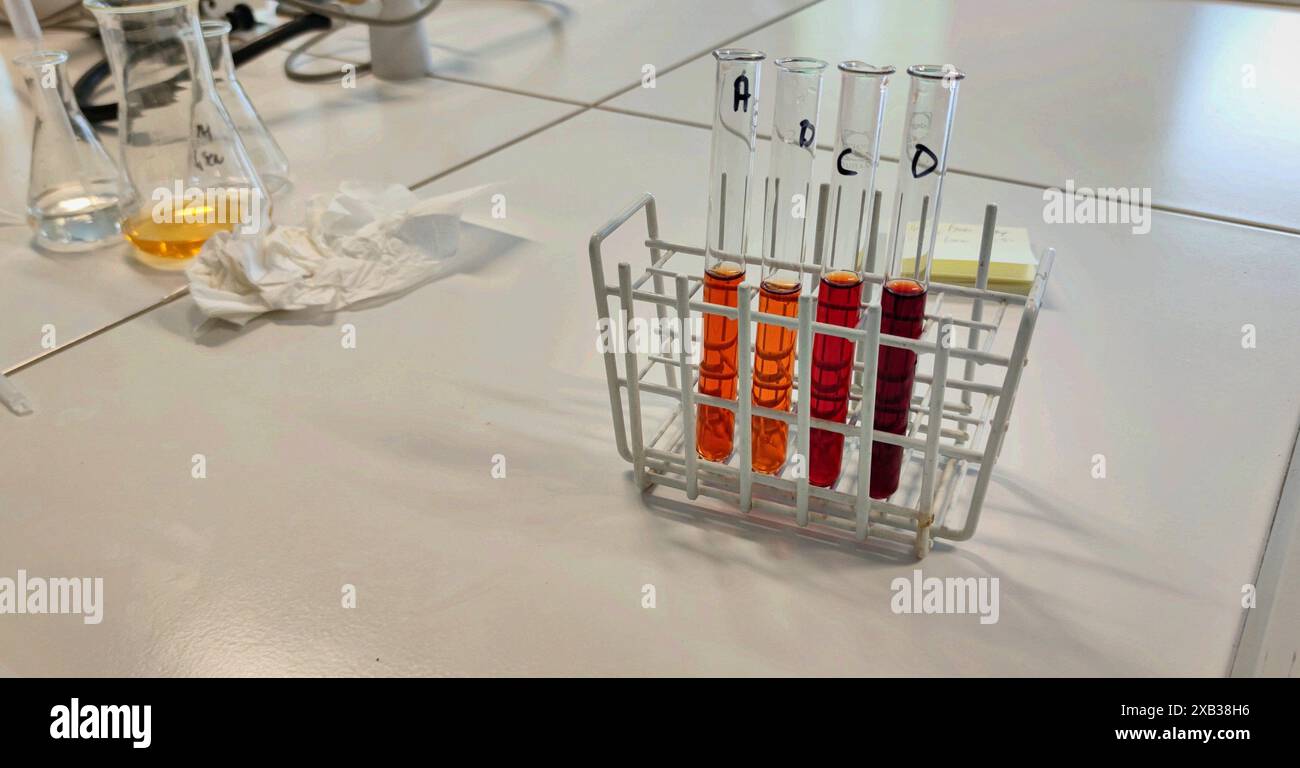 Portoir de tubes à essai remplis d'une substance colorée. Illustration d'un laboratoire chimique à l'école, dans un institut de recherche ou dans l'industrie médicale. Banque D'Images