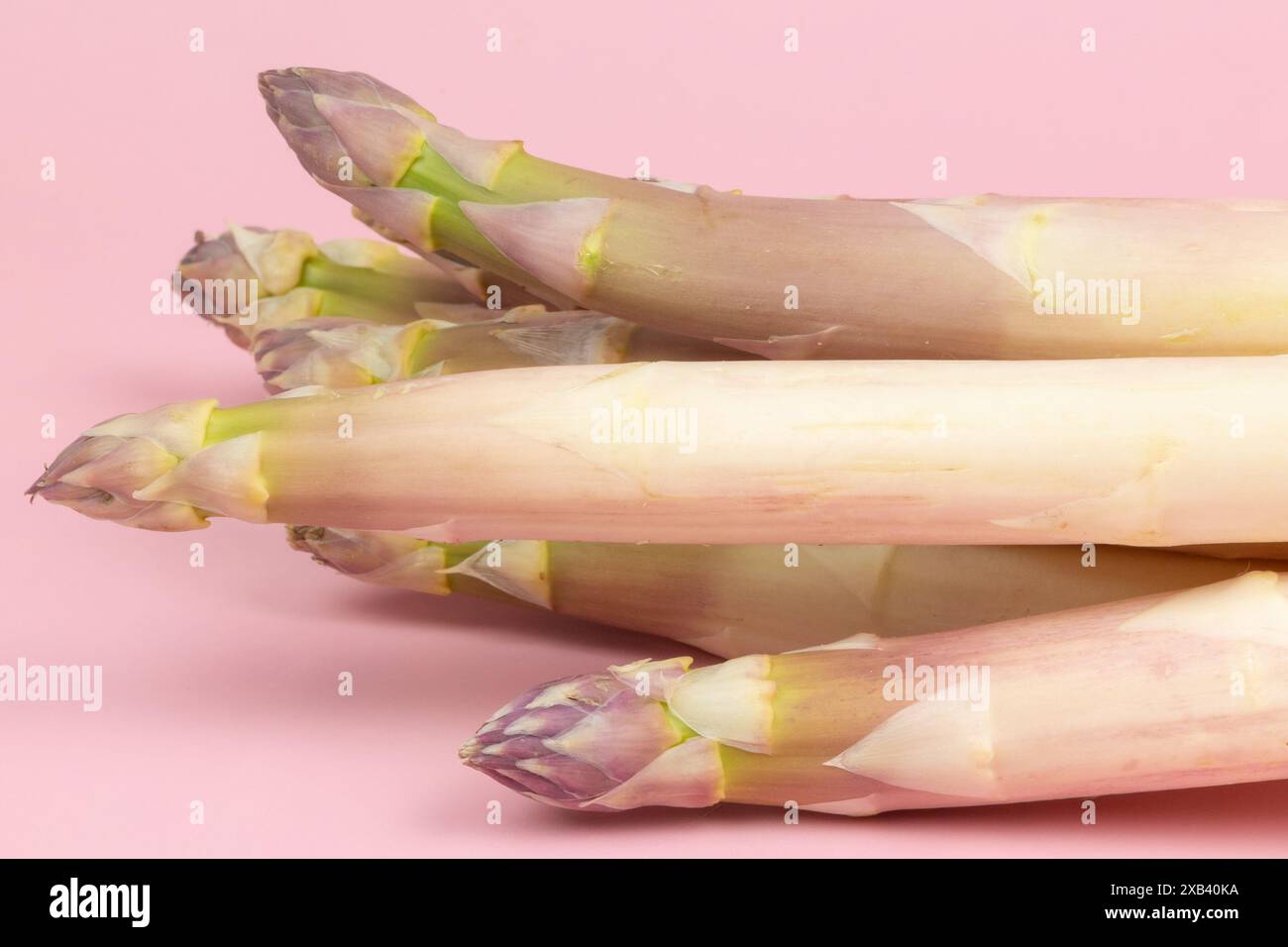 asperges blanches isolées sur fond rose Banque D'Images