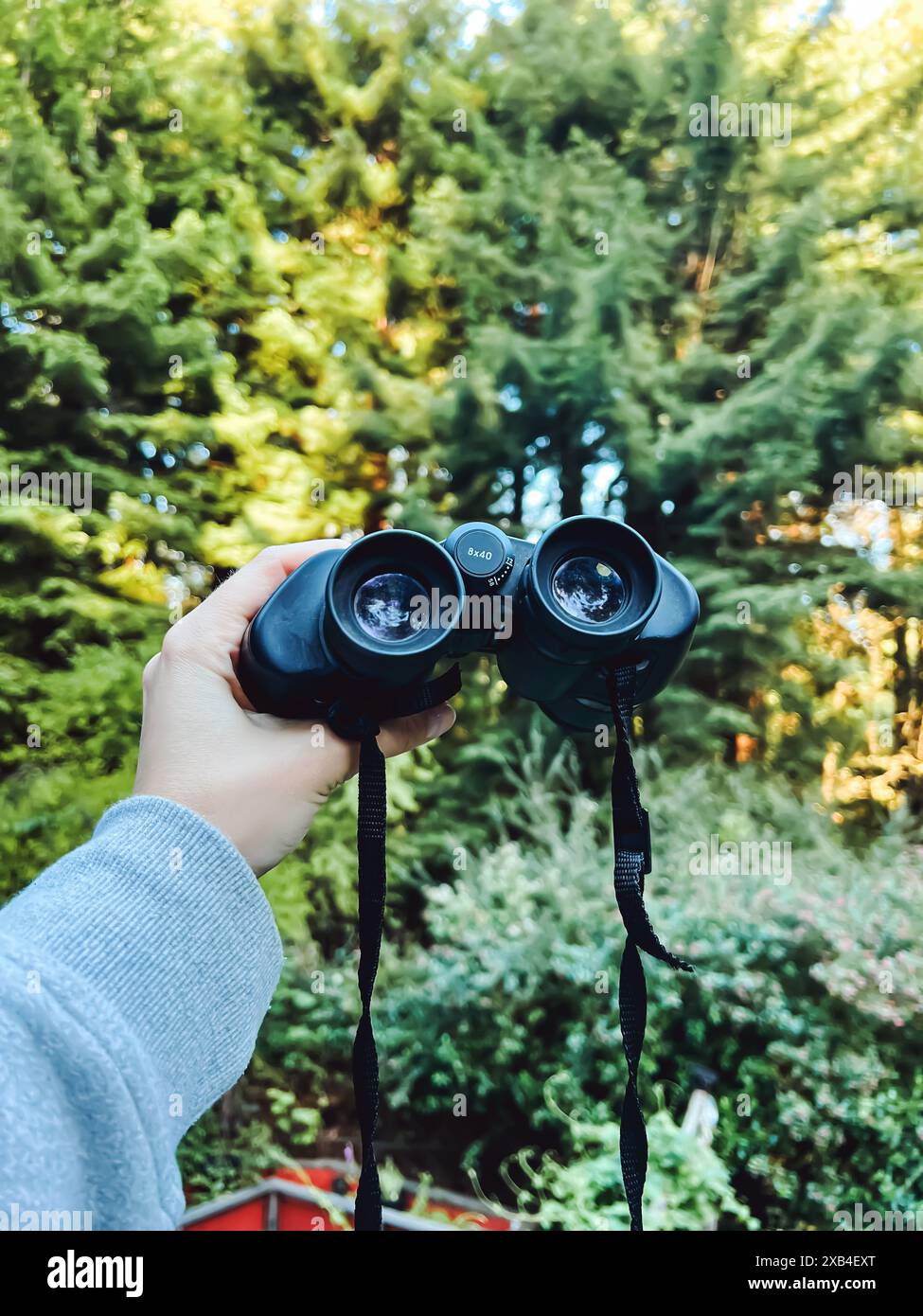 Main féminine tenant une jumelle à l'extérieur, vue rapprochée, explorant le concept de la nature Banque D'Images