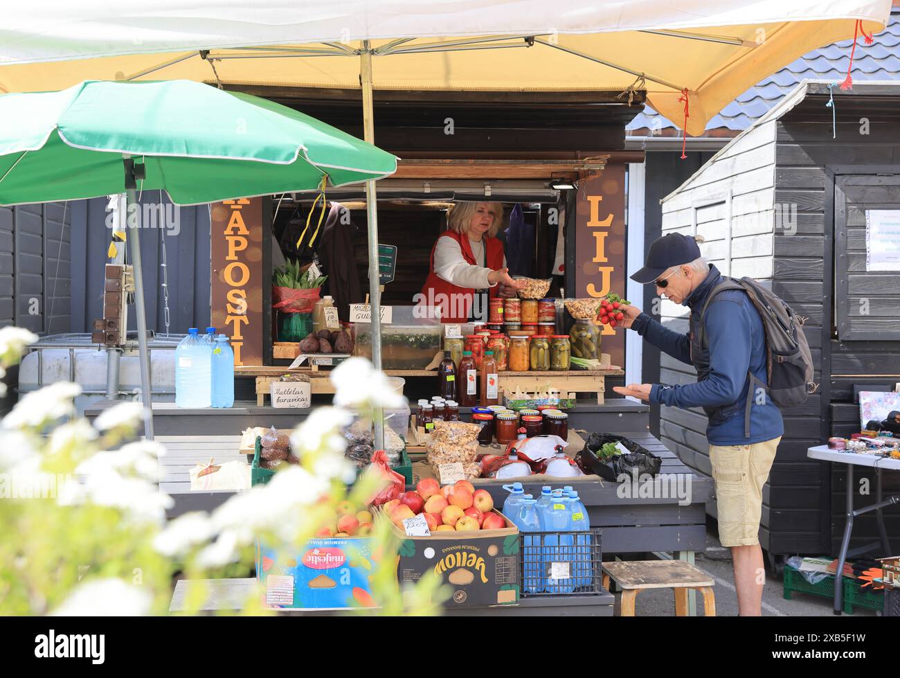Le marché Agenskalns récemment rénové, à Riga, capitale de la Lettonie, dans les pays baltes, en Europe Banque D'Images