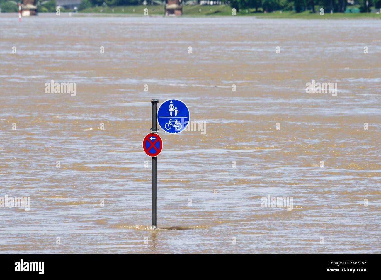 un panneau de signalisation pas d'arrêt et une piste piétonne et cyclable au milieu des inondations du rhin à cologne Banque D'Images