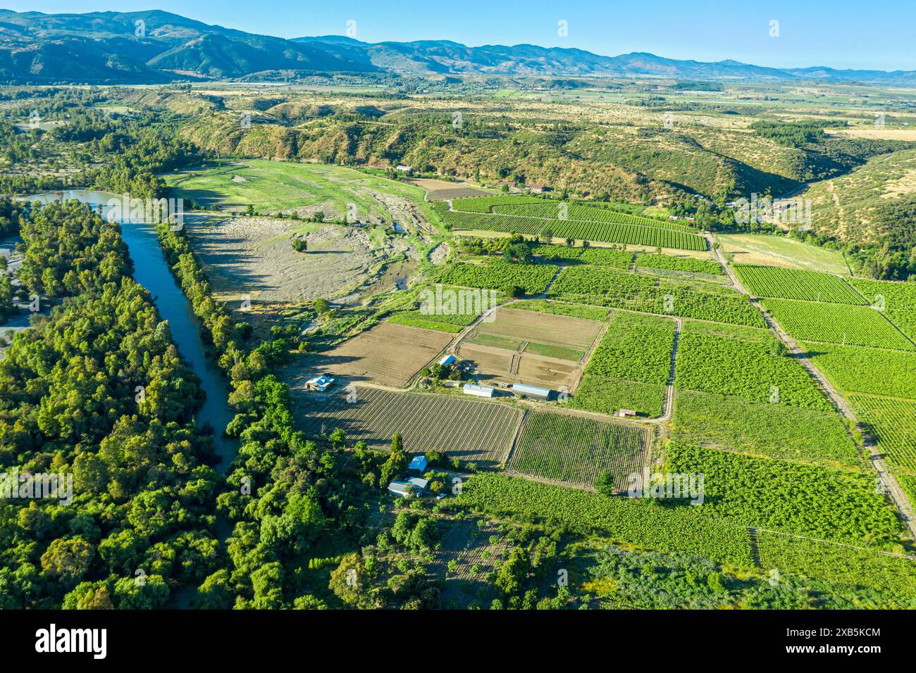 Vue aérienne de la rivière Rio Maule, coulant à travers le paysage agricole, centre du Chili Banque D'Images