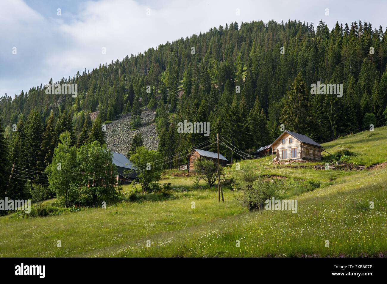 La belle nature du canyon de Rugova dans la campagne du Kosovo Banque D'Images