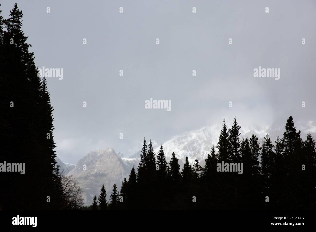 South Lawson Peak, Kananaskis, Alberta, Canada Banque D'Images