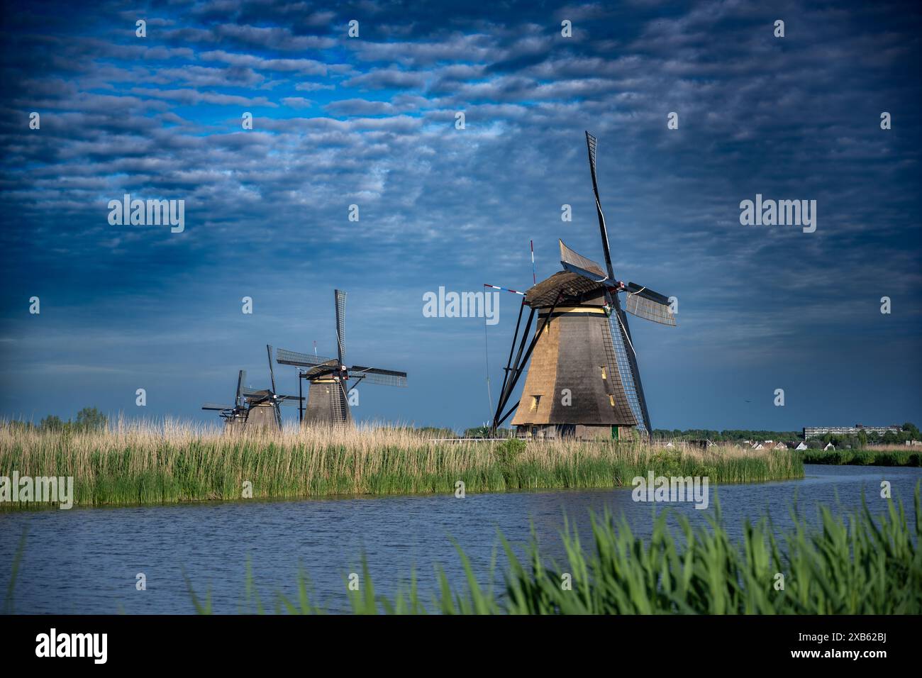 UNESCO Werelderfgoed Kinderdijk Molens, anciens moulins à vent de Kinderdijk à Rotterdam, pays-Bas Banque D'Images