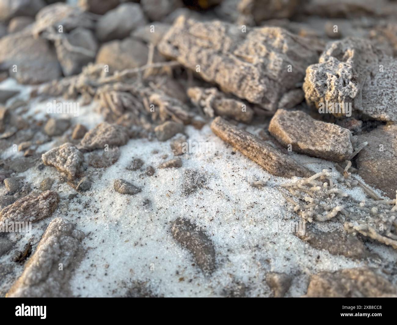 Image en gros plan de roches fracturées recouvertes de cristaux de sel sur un lit de lac sec, mettant en valeur des textures naturelles et des formations géologiques. Banque D'Images