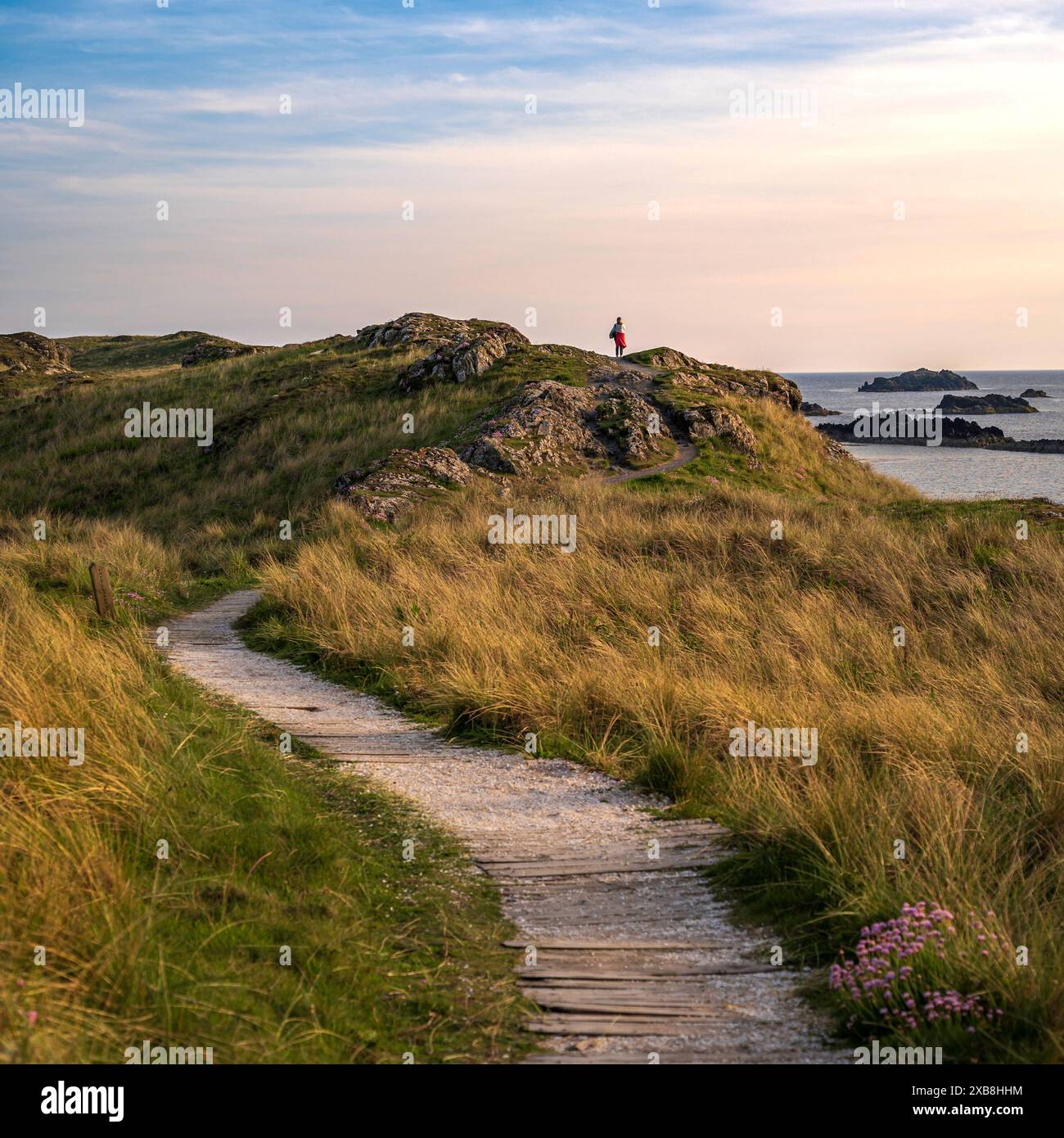 Un chemin, menant à travers des dunes de sable herbeuses surplombant l'océan. il est le soir et la scène est baignée de lumière dorée Banque D'Images