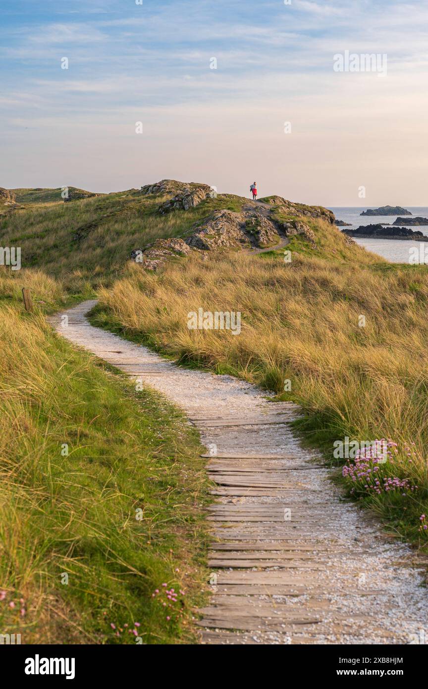 Un chemin, menant à travers des dunes de sable herbeuses surplombant l'océan. il est le soir et la scène est baignée de lumière dorée Banque D'Images