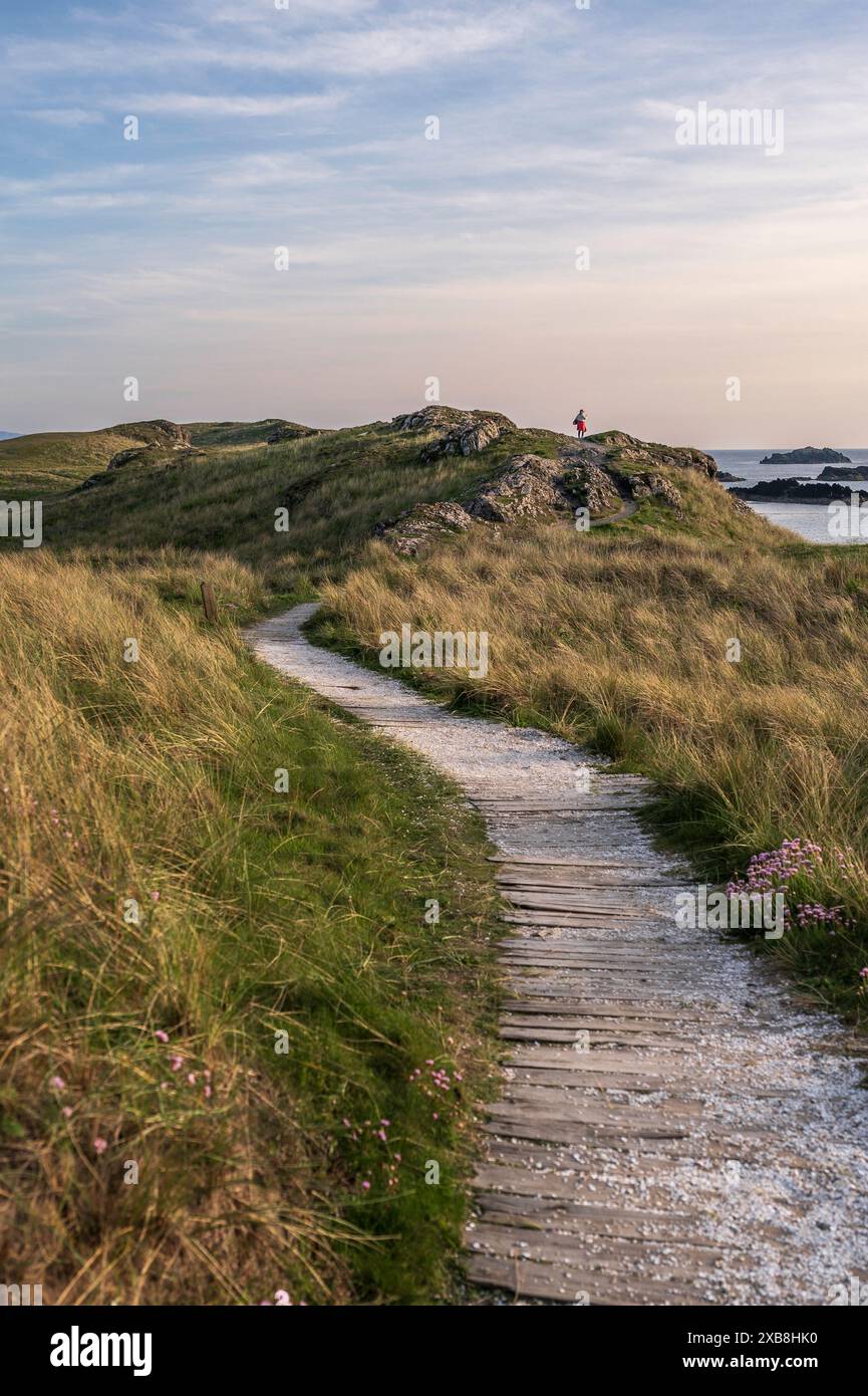 Un chemin, menant à travers des dunes de sable herbeuses surplombant l'océan. il est le soir et la scène est baignée de lumière dorée Banque D'Images