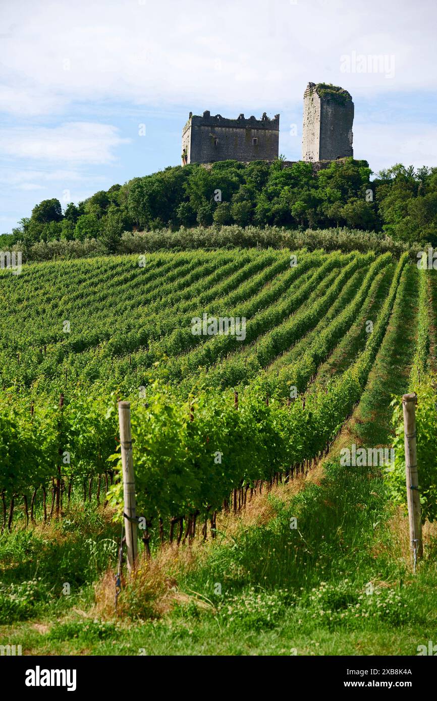 Illasi (VR), Italie, le château médiéval d'Illasi, au 10ème siècle Banque D'Images