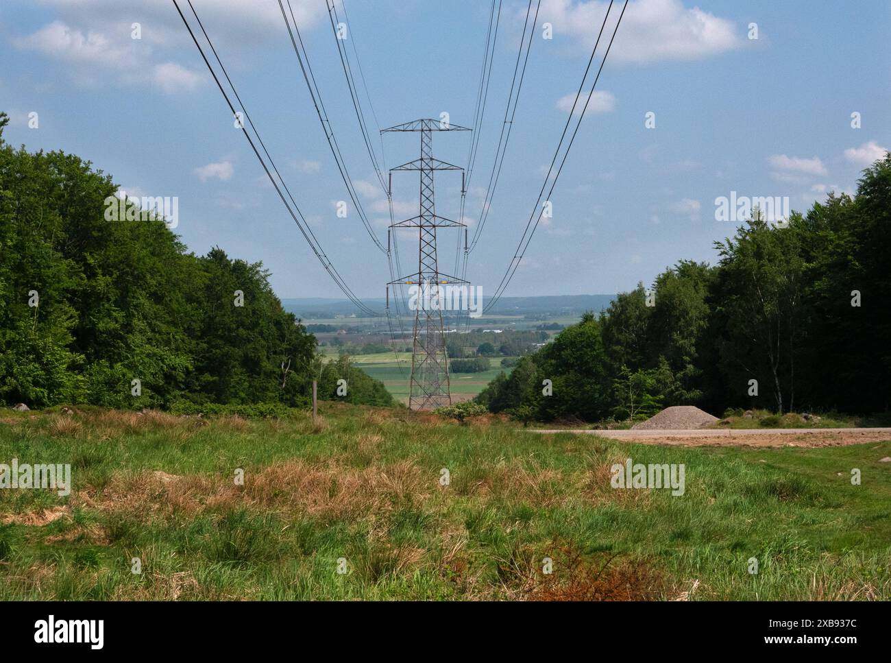 Des fils électriques traversant une forêt de coupe claire dans un paysage vallonné, des intérêts contradictoires Banque D'Images