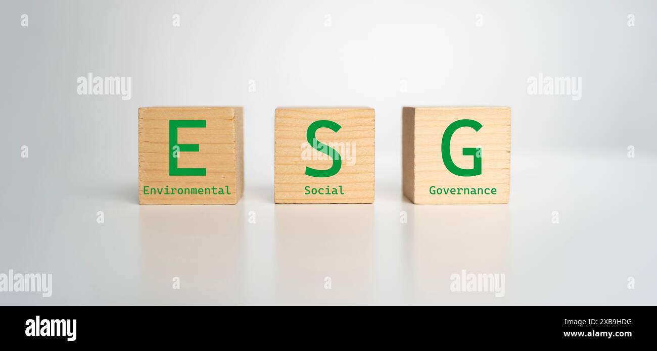 Cubes, dés ou blocs avec l'acronyme ESG environnement social Governance sur fond blanc Banque D'Images