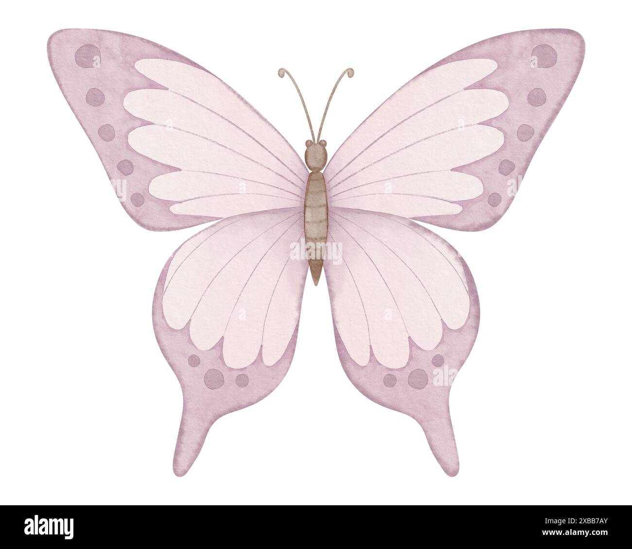 Illustration d'aquarelle de papillon rose. Dessin d'insecte mignon peint dans des couleurs pastel pour des cartes de voeux d'anniversaire de bébé ou des invitations de mariage. Peinture sur fond isolé pour clipart. Banque D'Images