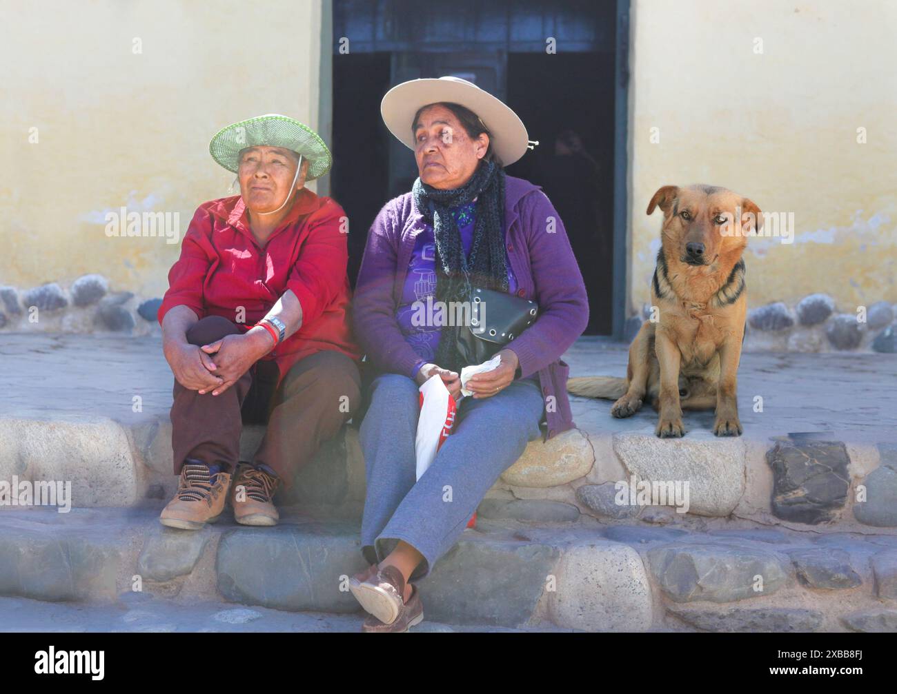 Cachi., Salta, Argentine.. femmes âgées indigènes assises dans la rue avec un chien se relaxant au soleil. Banque D'Images