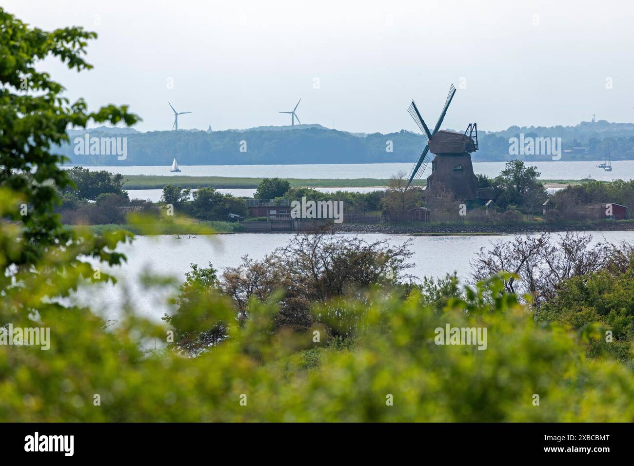 Moulin à vent Charlotte, mer, voilier, éoliennes, mer Baltique, Geltinger Birk, Geltinger Bucht, Nieby, Schleswig-Holstein, Allemagne Banque D'Images