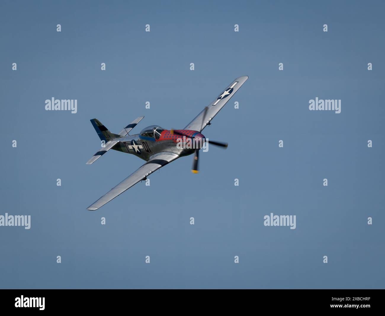 Mustang P51 Banque D'Images