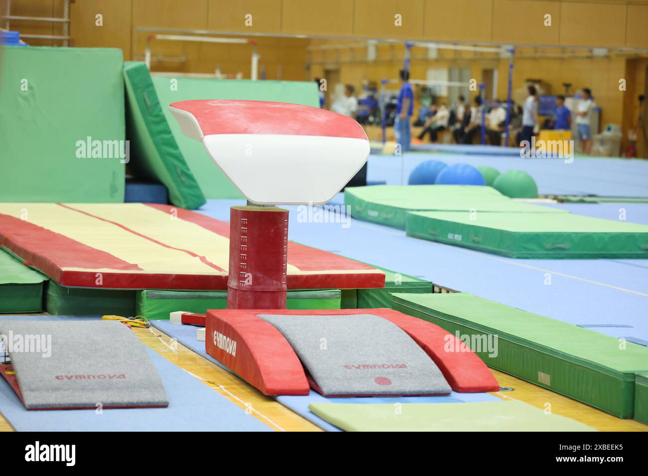 Tokyo, Japon. 11 juin 2024. Vue générale gymnastique artistique : séance d'essai de l'équipe nationale féminine du Japon pour les Jeux olympiques de Paris de 2024 à Tokyo, Japon . Crédit : Yohei Osada/AFLO SPORT/Alamy Live News Banque D'Images