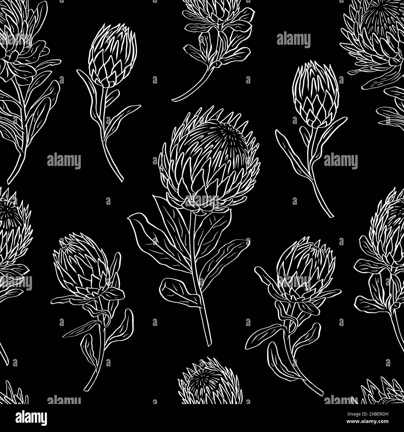 Motif sans couture noir et blanc avec des fleurs protea art au trait Illustration de Vecteur