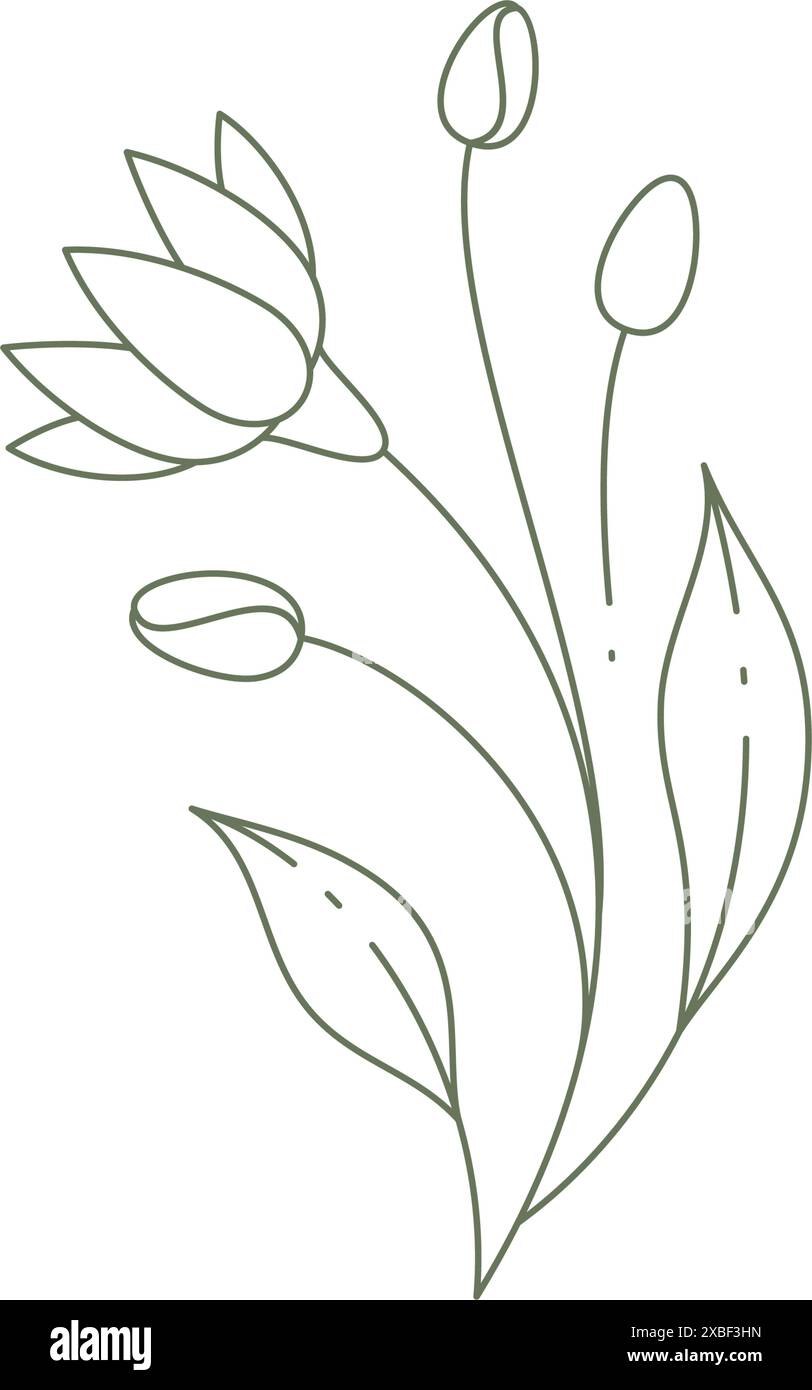 L'art au trait monochrome peut se limer avec le bourgeon, la tige et les feuilles élégantes impression murale logo illustration vectorielle. Simple icône fleur botanique printemps naturel Illustration de Vecteur