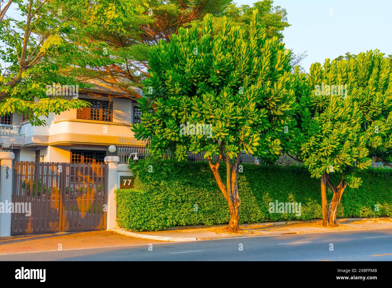 Rue urbaine de la ville avec des arbres verts soignés bien entretenus porte de soleil à la maison résidentielle et jardin pelouse à l'intérieur, vue de côté. Banque D'Images