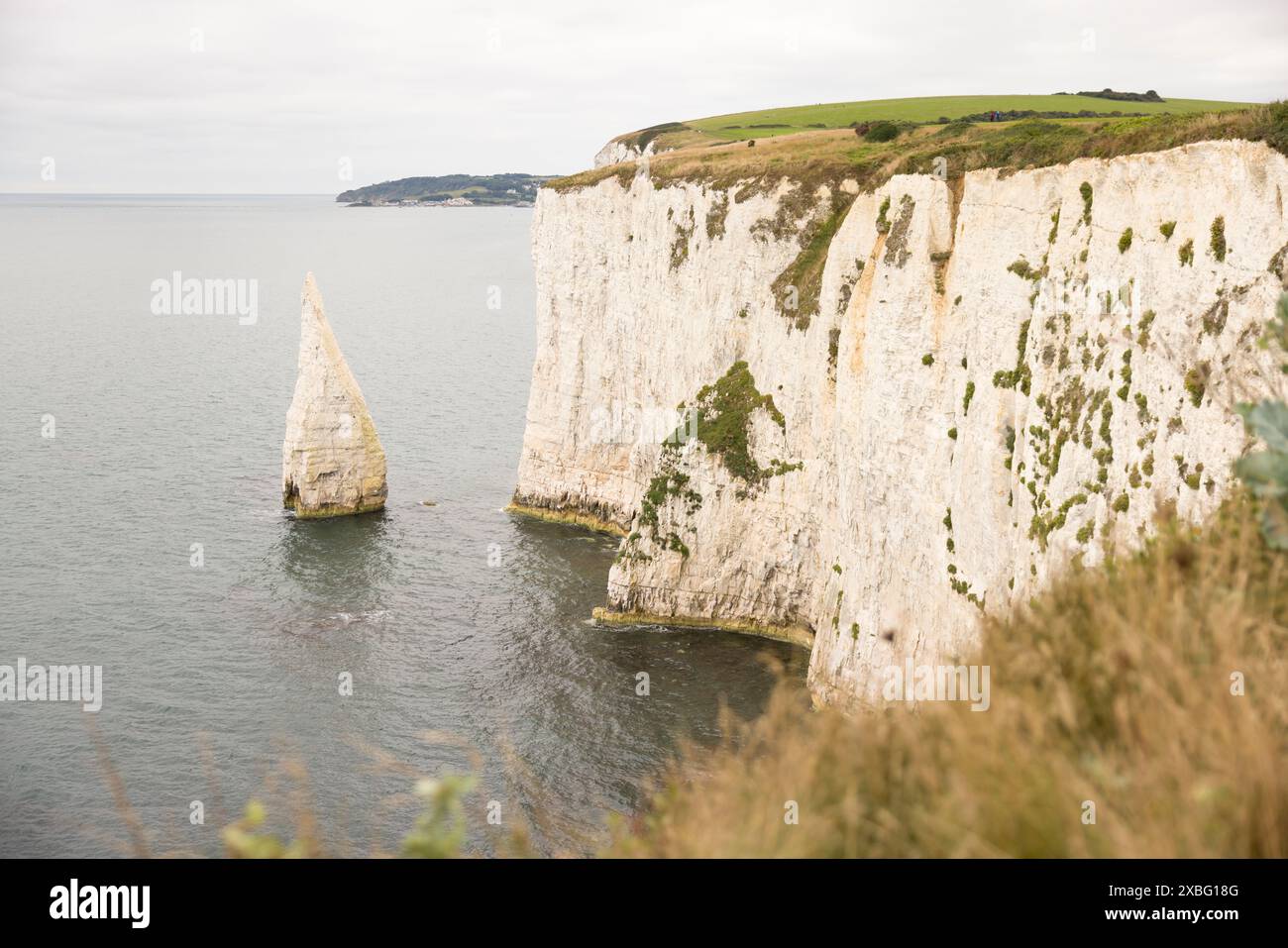 Les Pinnacles, Old Harry Rocks. Sea Stacks au large de la côte jurassique, site classé au patrimoine mondial de l'UNESCO dans le Dorset, Royaume-Uni Banque D'Images