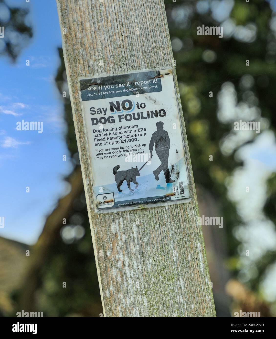 Un panneau sur l'encrassement des chiens, Stafford, Angleterre, Royaume-Uni Banque D'Images