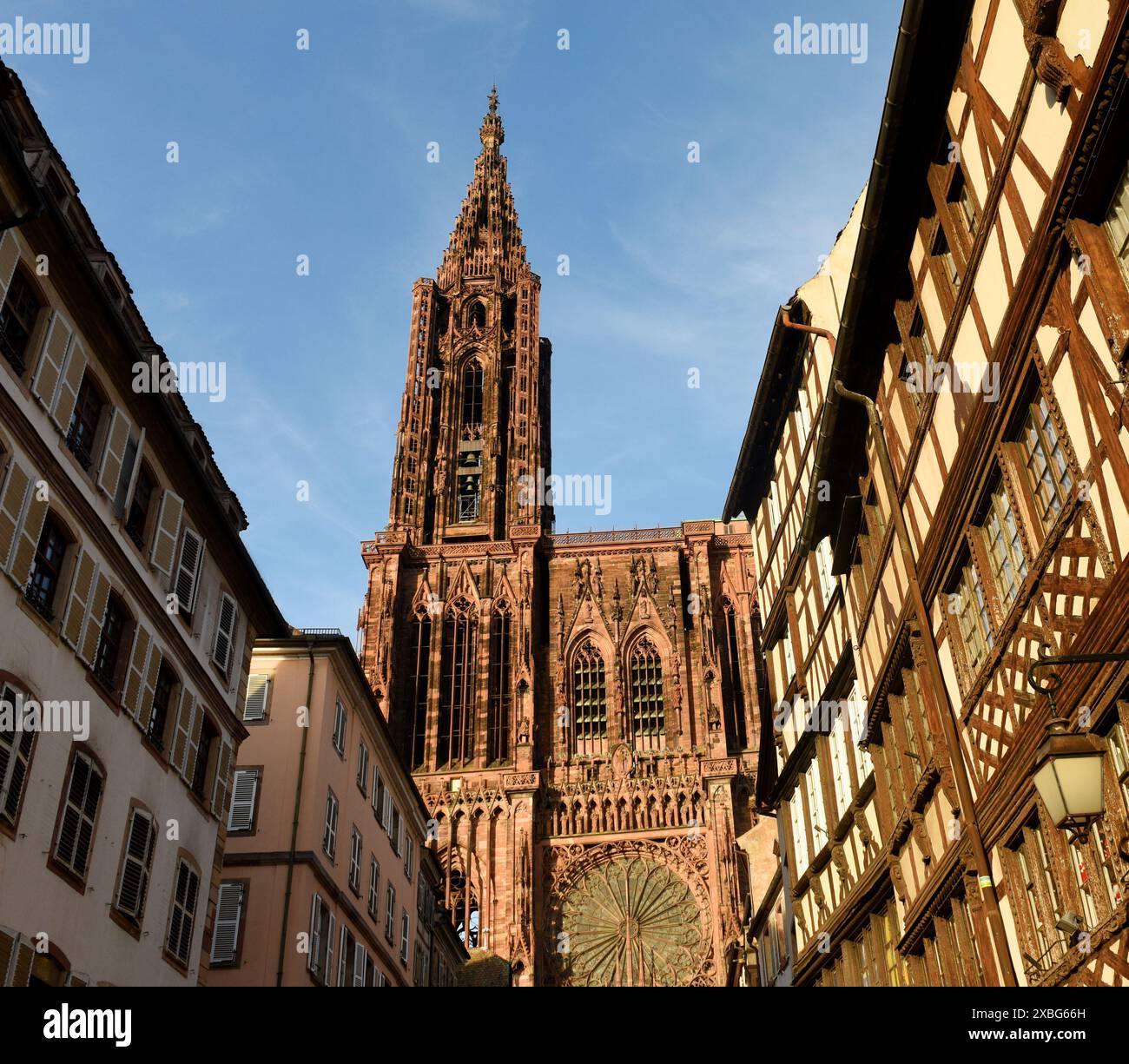 La cathédrale de Strasbourg ou la cathédrale de Notre-Dame de Strasbourg à Strasbourg, France. Banque D'Images