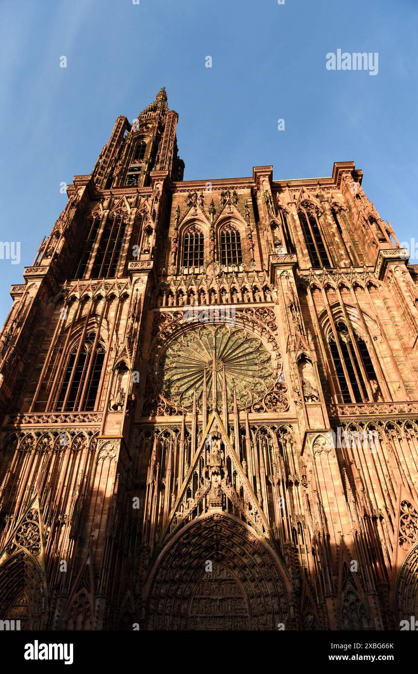 La cathédrale de Strasbourg ou la cathédrale de Notre-Dame de Strasbourg à Strasbourg, France. Banque D'Images