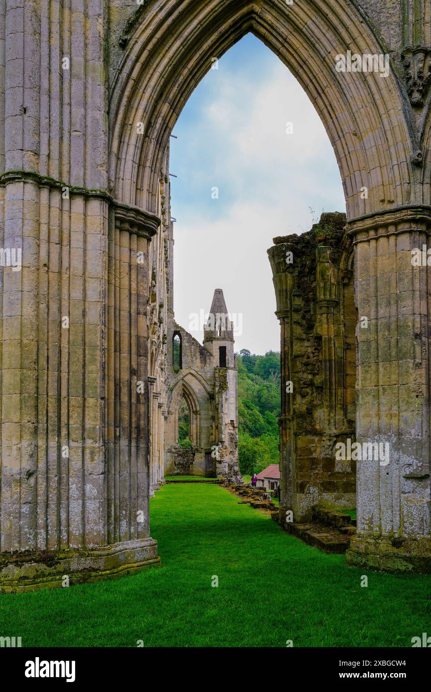 Les ruines de l'abbaye de Rievaulx près de Helmsley dans le Yorkshire du Nord, Angleterre, Royaume-Uni. Construit à l'origine en 1132, au XIIe siècle. Banque D'Images