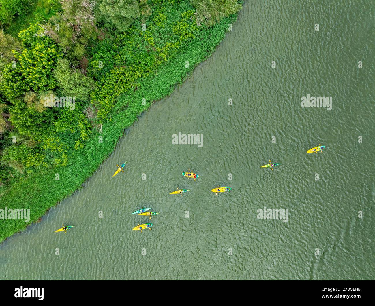 Kayaks sur l'Èbre au 23ème canoë de la plate-forme de défense de l'Èbre (Baix Ebre, Tarragone, Catalogne, Espagne) Banque D'Images