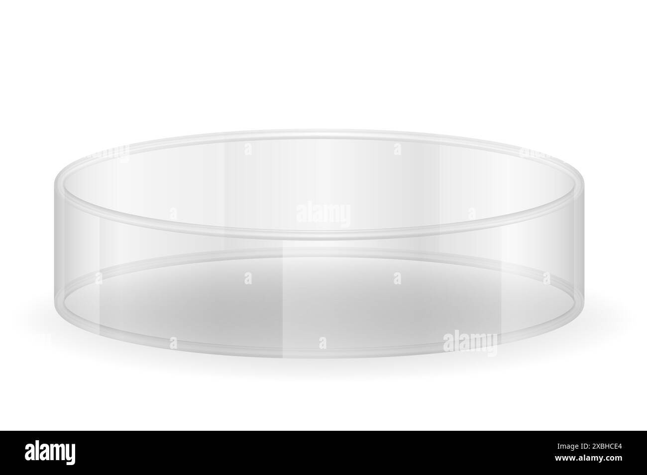 boîte de petri pour illustration vectorielle de recherche chimique et biologique isolée sur fond blanc Banque D'Images