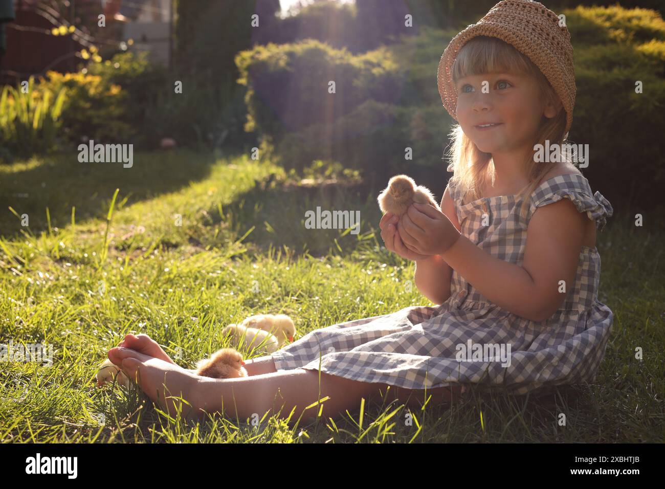 Petite fille avec des poussins mignons sur l'herbe verte à l'extérieur. Bébés animaux Banque D'Images