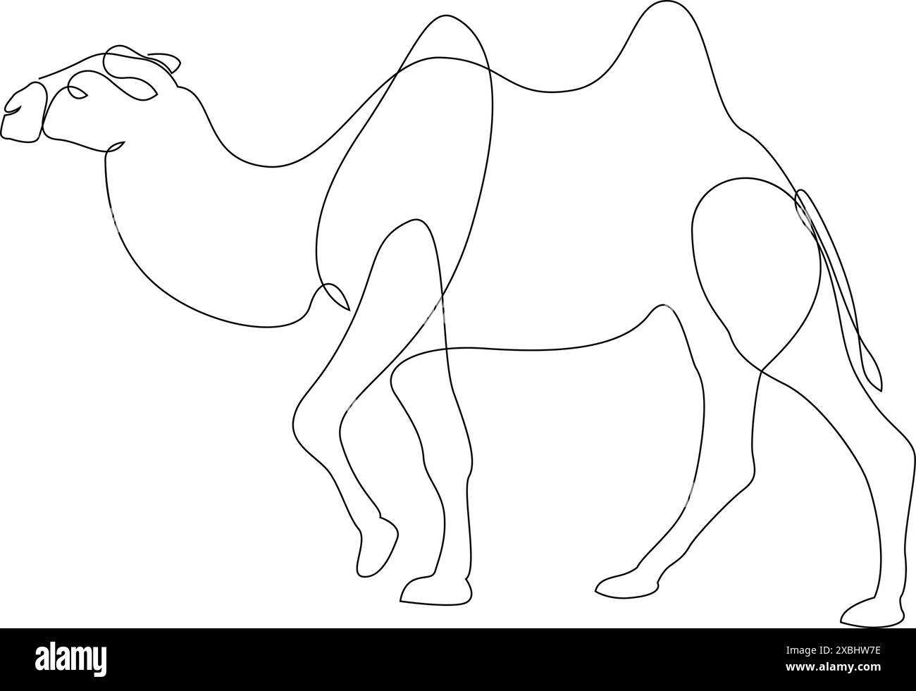Dessin au trait continu de chameau. Une lignée de chameaux arabes. Illustration vectorielle Illustration de Vecteur