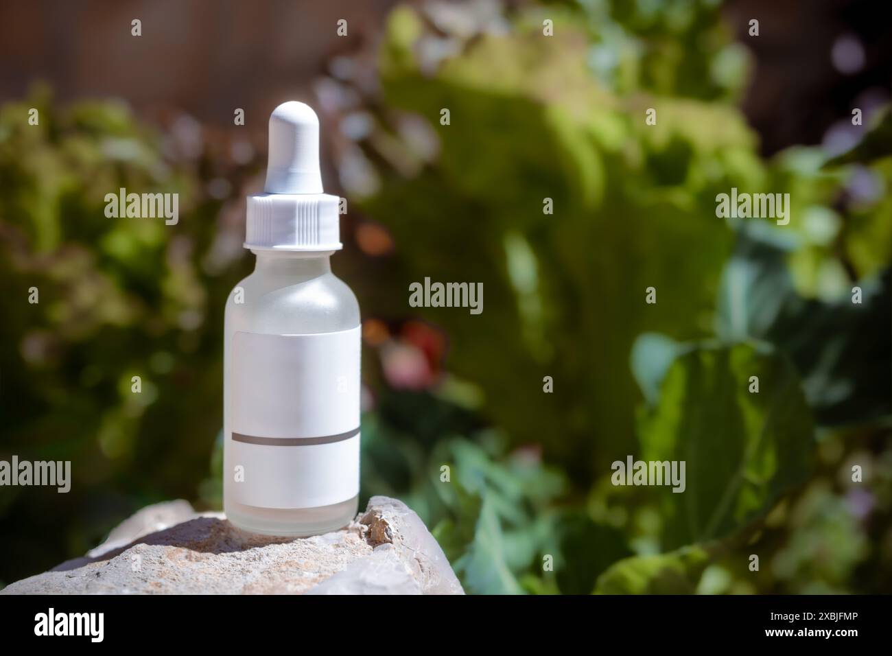 Maquette de bouteille compte-gouttes en verre avec étiquette vide blanche sur une roche avec des feuilles floues en arrière-plan. Mise au point sélective. Pipette cosmétique dans la nature Banque D'Images