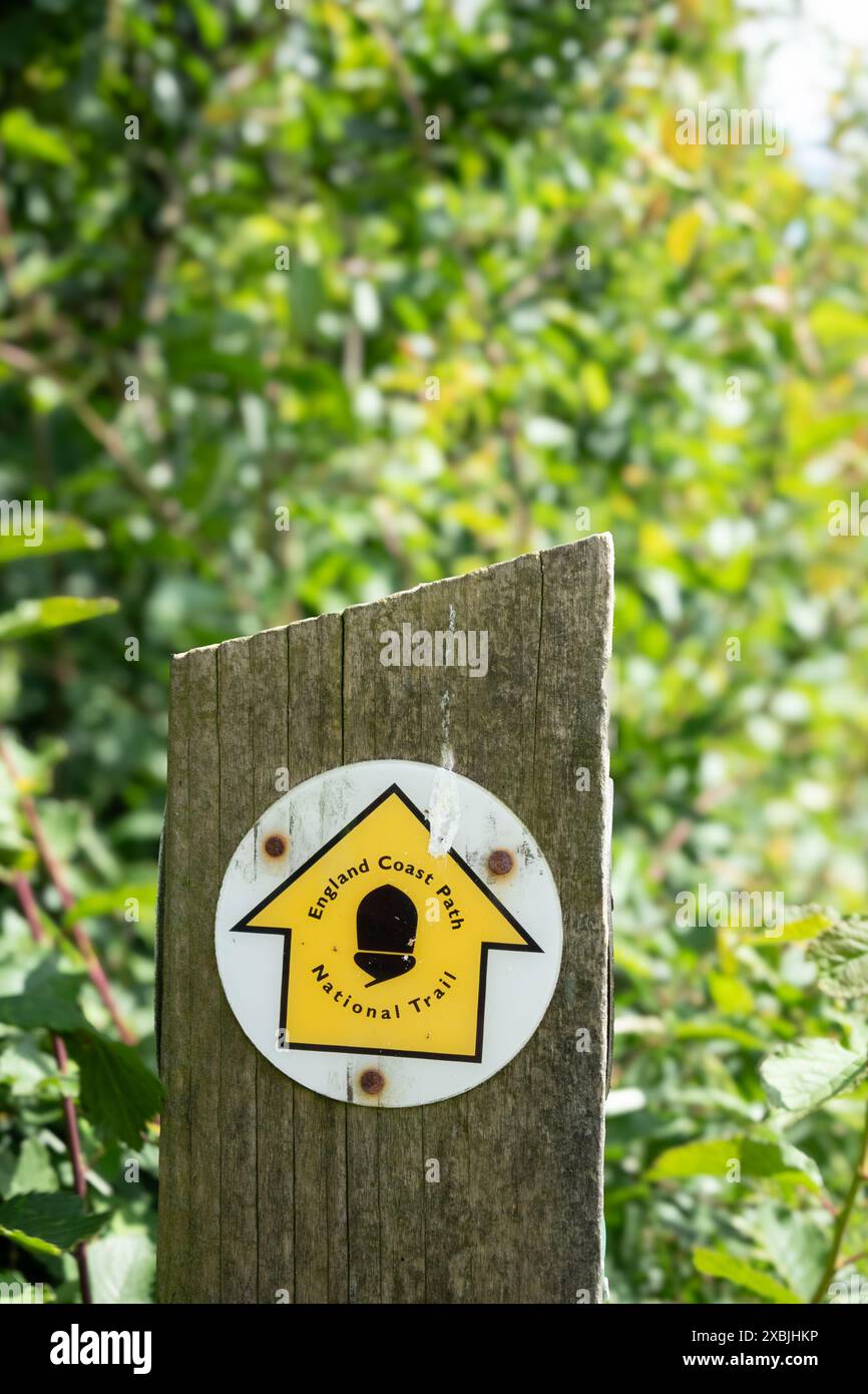 Panneau de chemin de la côte de l'Angleterre avec flèche directionnelle jaune et symbole de gland sur un fond de feuilles vert flou Banque D'Images