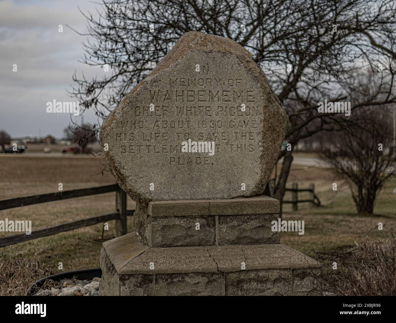 Un monument en pierre à White Pigeon, Michigan, orné d'inscriptions, se dresse majestueusement dans un champ herbeux à côté d'un arbre solitaire. Banque D'Images
