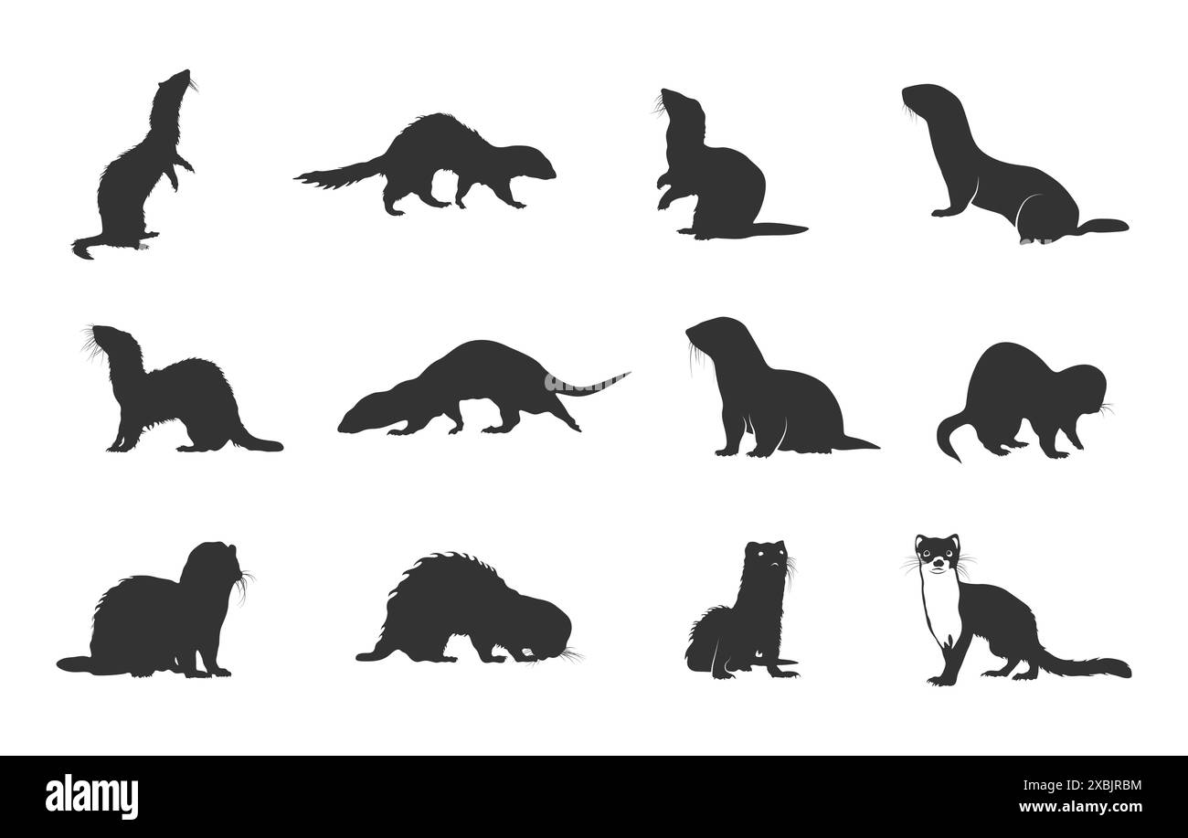 Silhouette de furet, Bundle de Ferret, silhouette de Weasel, ensemble vectoriel d'animaux de Ferret Illustration de Vecteur