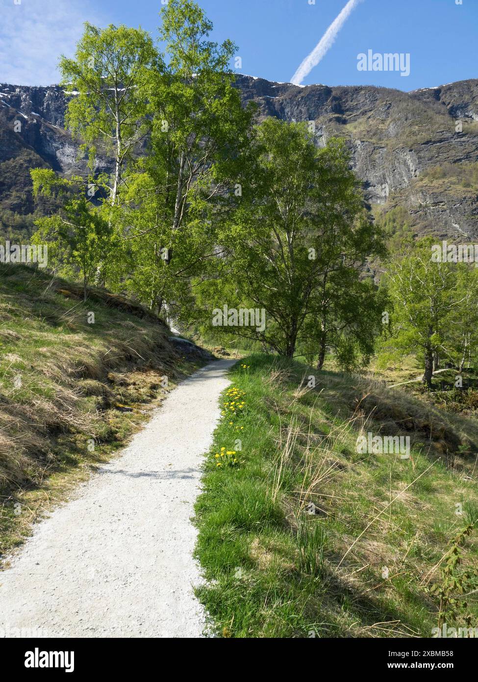 Petit sentier de randonnée à travers un paysage verdoyant avec des arbres et des montagnes, Flam, Norvège, Scandinavie Banque D'Images