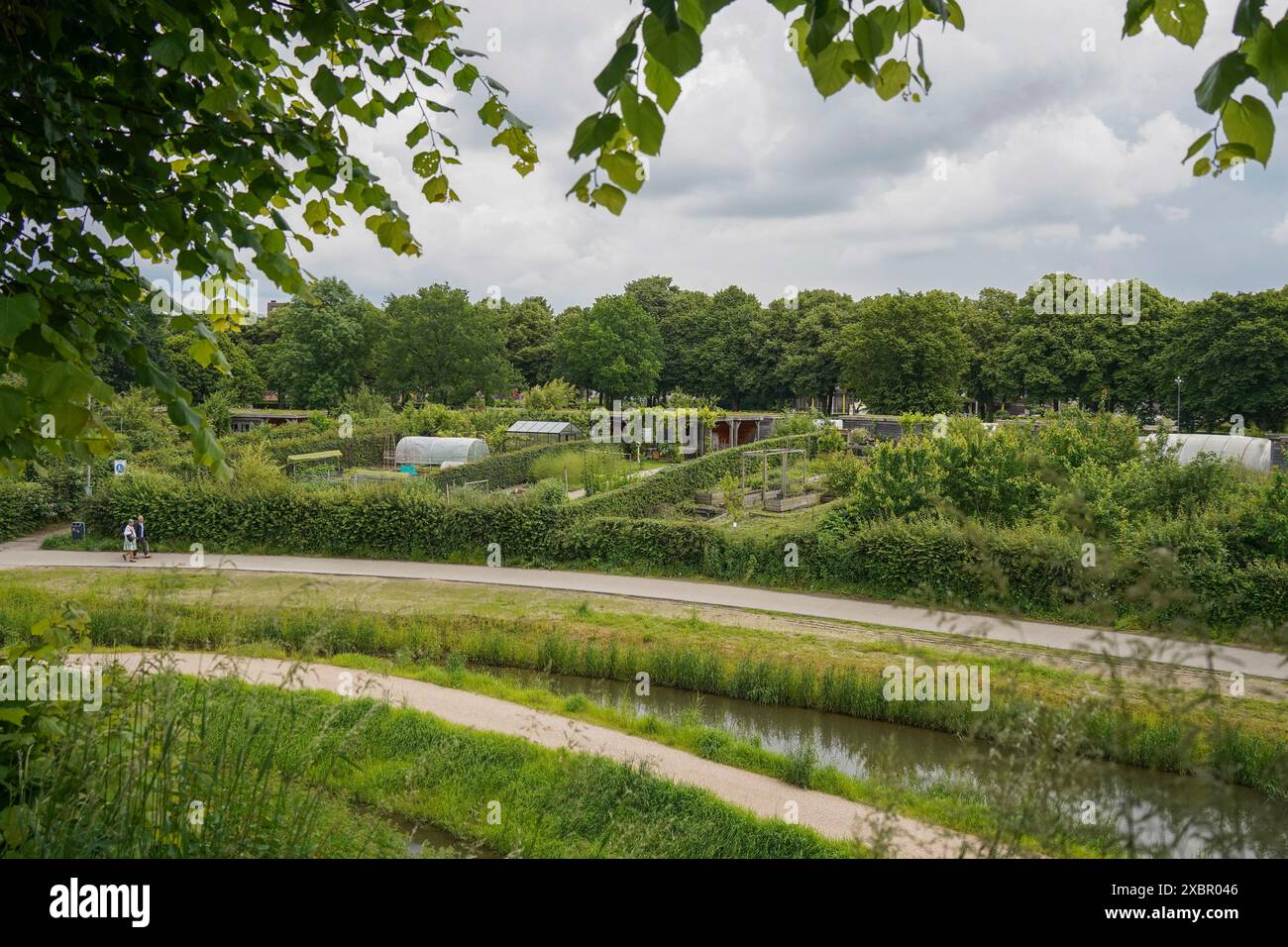 Sittard, pays-Bas, canaux en zone verte avec jardins potagers urbains derrière, Sittard, Limbourg, pays-Bas. Banque D'Images