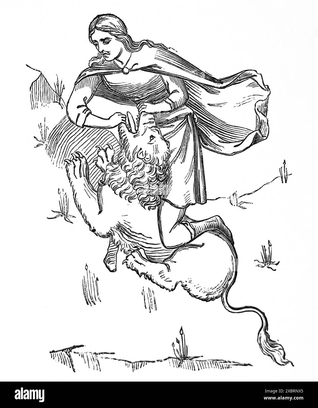 Gravure sur bois de Samson tuant le Lion (Livre des juges) du Speculum de M. Boxall 14ème siècle dans la Bible de la famille illustrée antique du 19ème siècle Banque D'Images