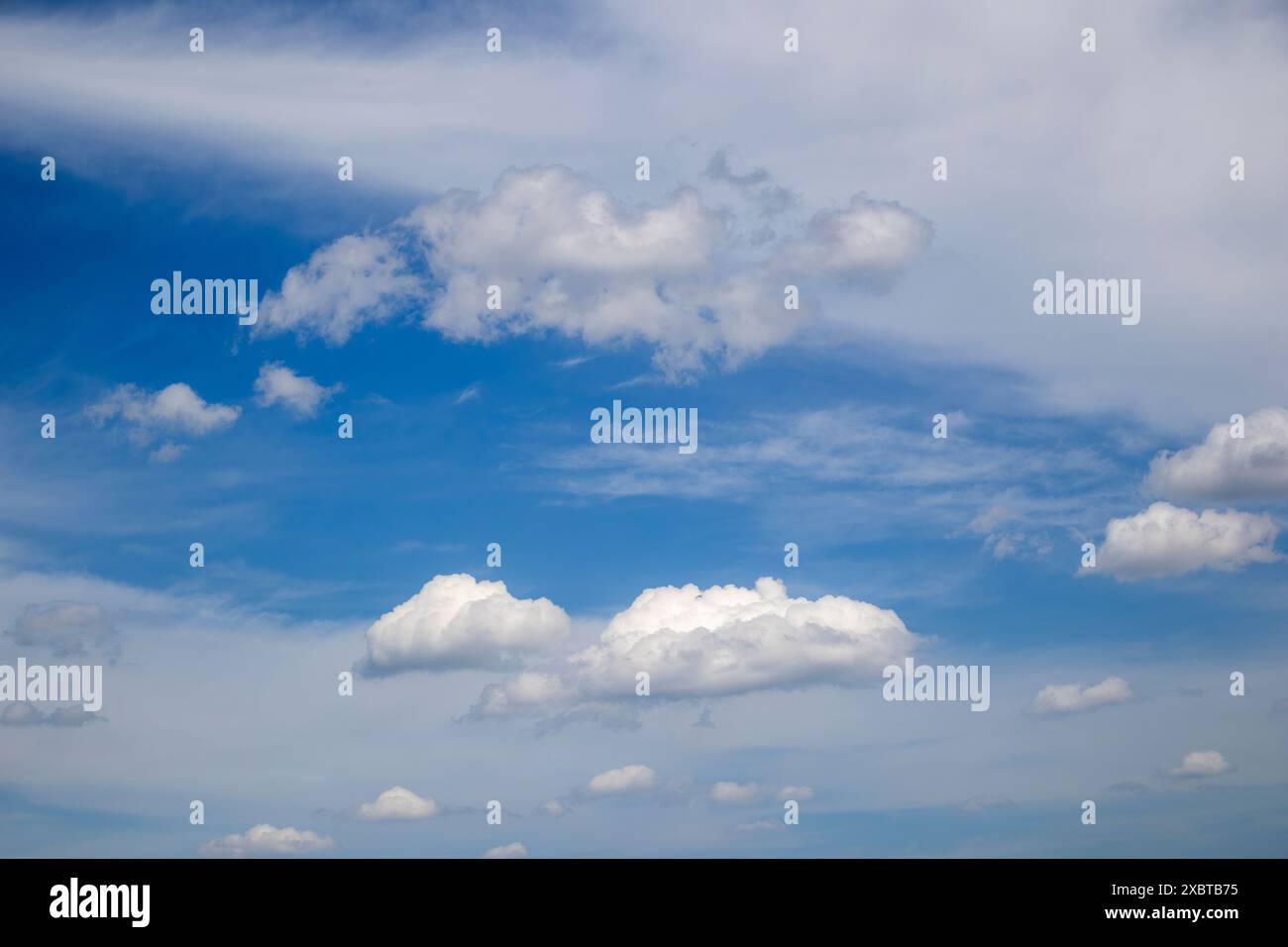 Des nuages de cumulus blancs se forment sur un ciel bleu vif Banque D'Images
