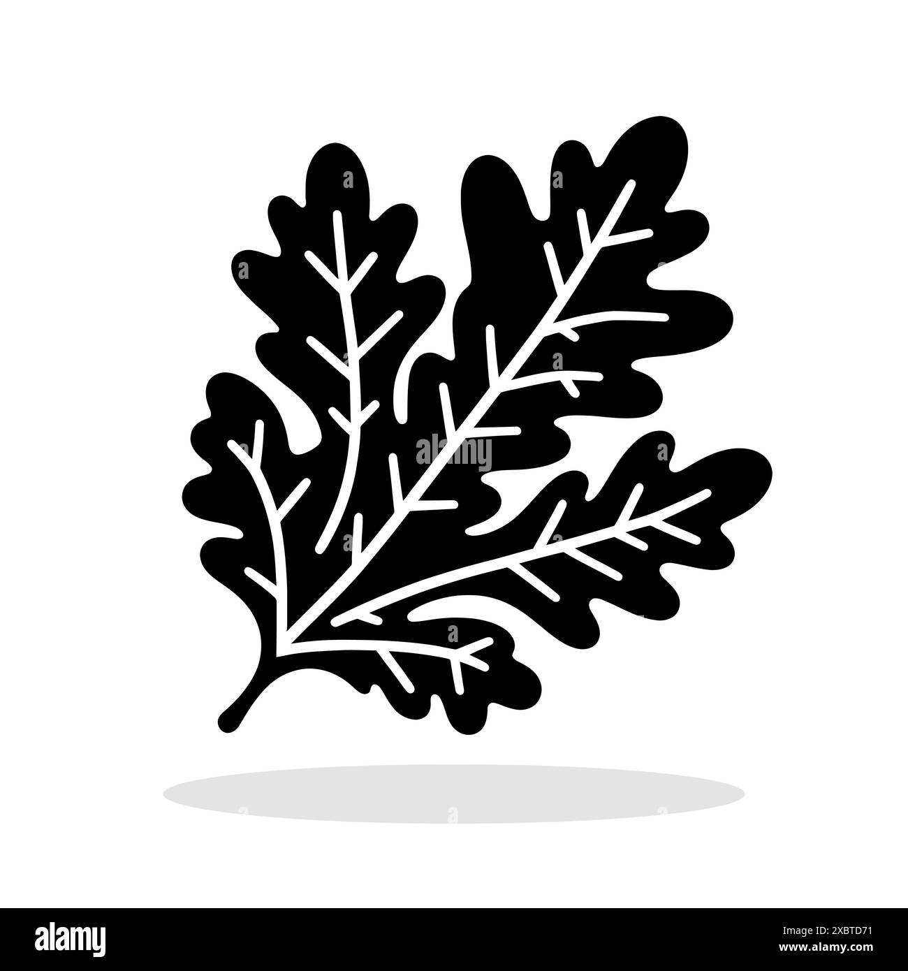 Icône feuille de chêne. Icône de vecteur de feuille. Icône de feuille de chêne noir Illustration de Vecteur