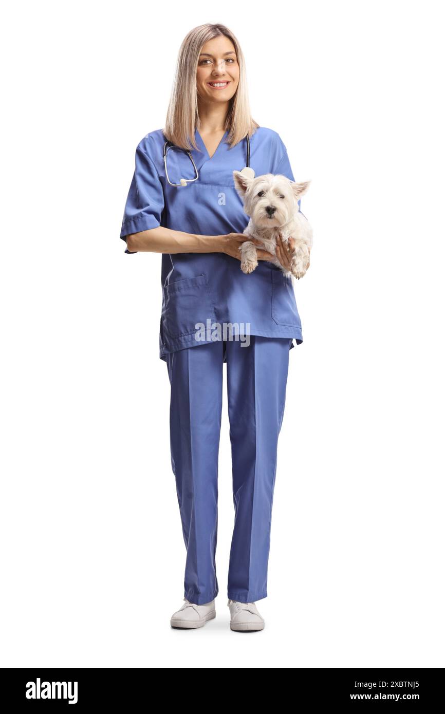Vétérinaire femelle en uniforme bleu tenant un chien westie terrier isolé sur fond blanc Banque D'Images