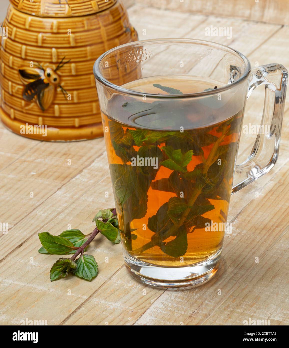 Verre à thé avec tisane à la menthe et une brindille de menthe fraîche en gros plan Banque D'Images