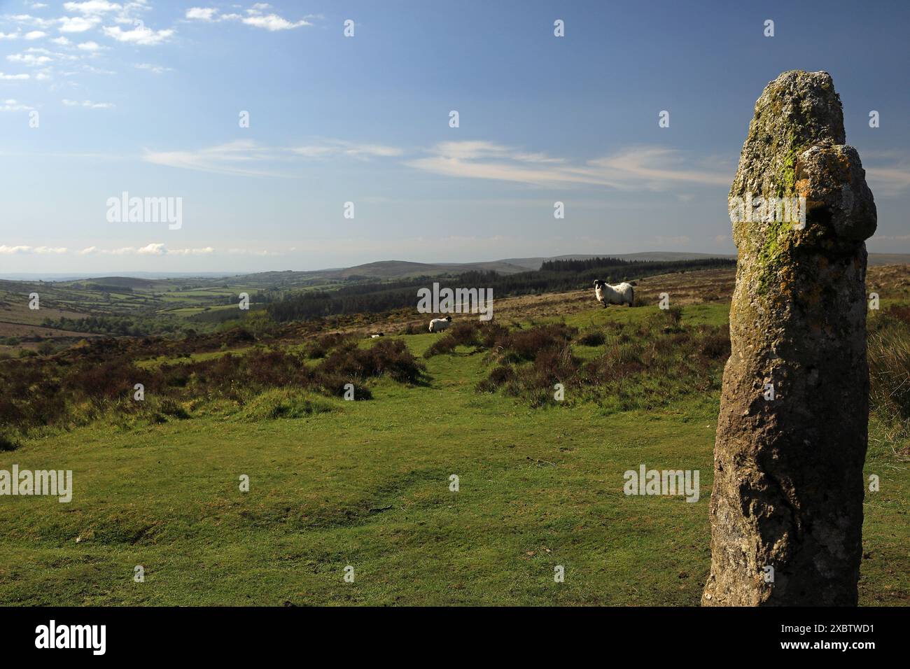 Dartmoor Cross. Devon, Royaume-Uni Banque D'Images