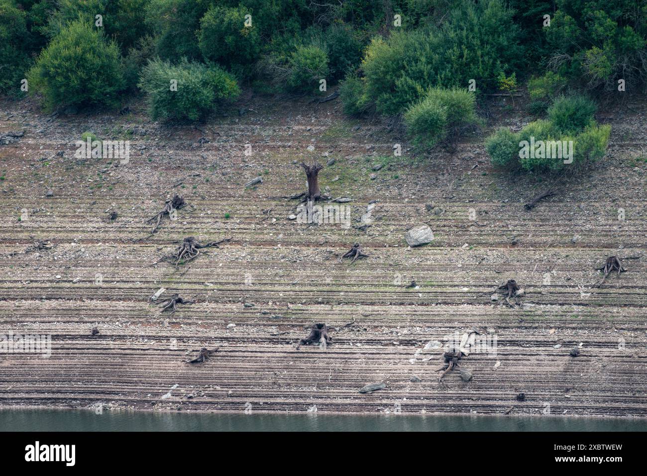 Des billes minéralisées sautent au-dessus du niveau de l'eau dans la rivière Minho près de Lugo Galicia Banque D'Images