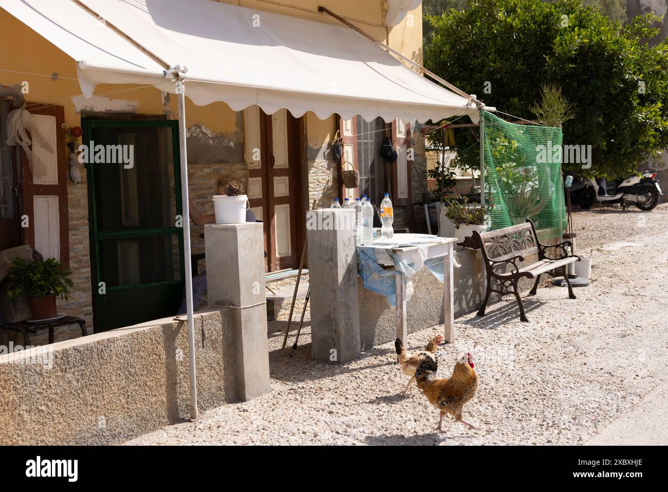 Zone de plage de Pedi sur l'île de Symi du groupe d'îles du Dodécanèse, où le corps du médecin de télévision Michael Mosley a été trouvé, Grèce, Europe Banque D'Images
