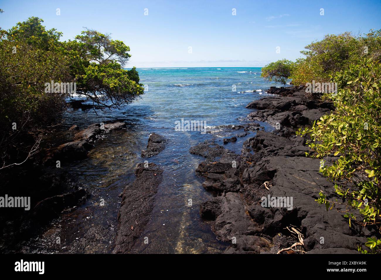 Un chenal de marée dans les îles Galapagos Banque D'Images