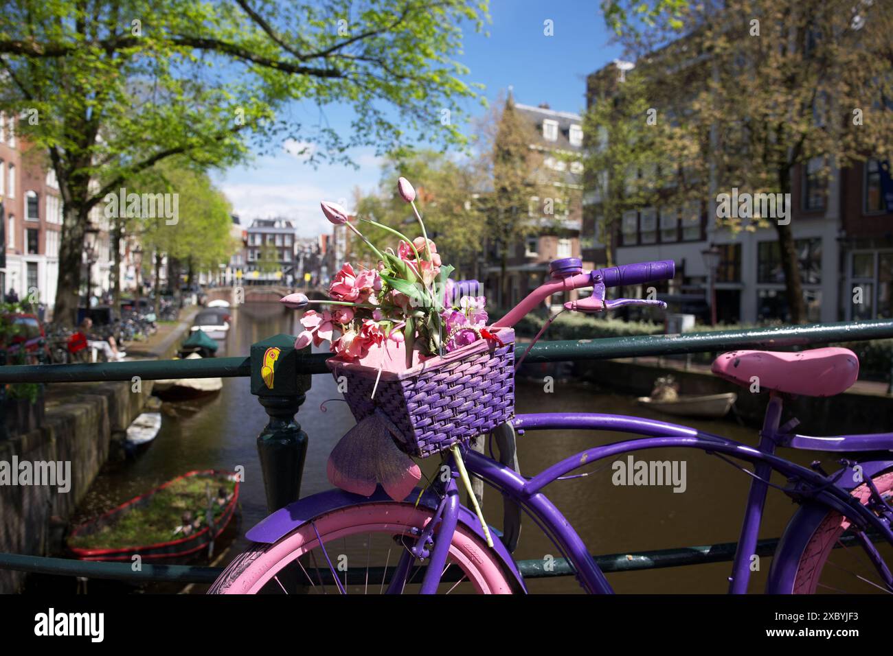 Vélo rose sur un pont à Amsterdam avec vue sur le canal. Printemps et temps ensoleillé aux pays-Bas Banque D'Images