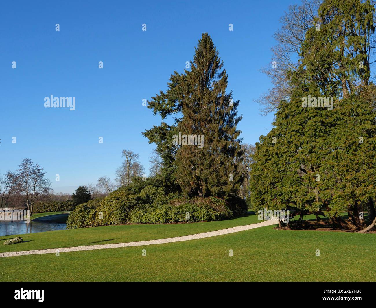 Espace vert avec trottoir et groupes d'arbres sous un ciel bleu clair, cadre paisible, ruurlo, gueldre, pays-bas Banque D'Images